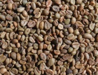 Arabica S16 Honey Process