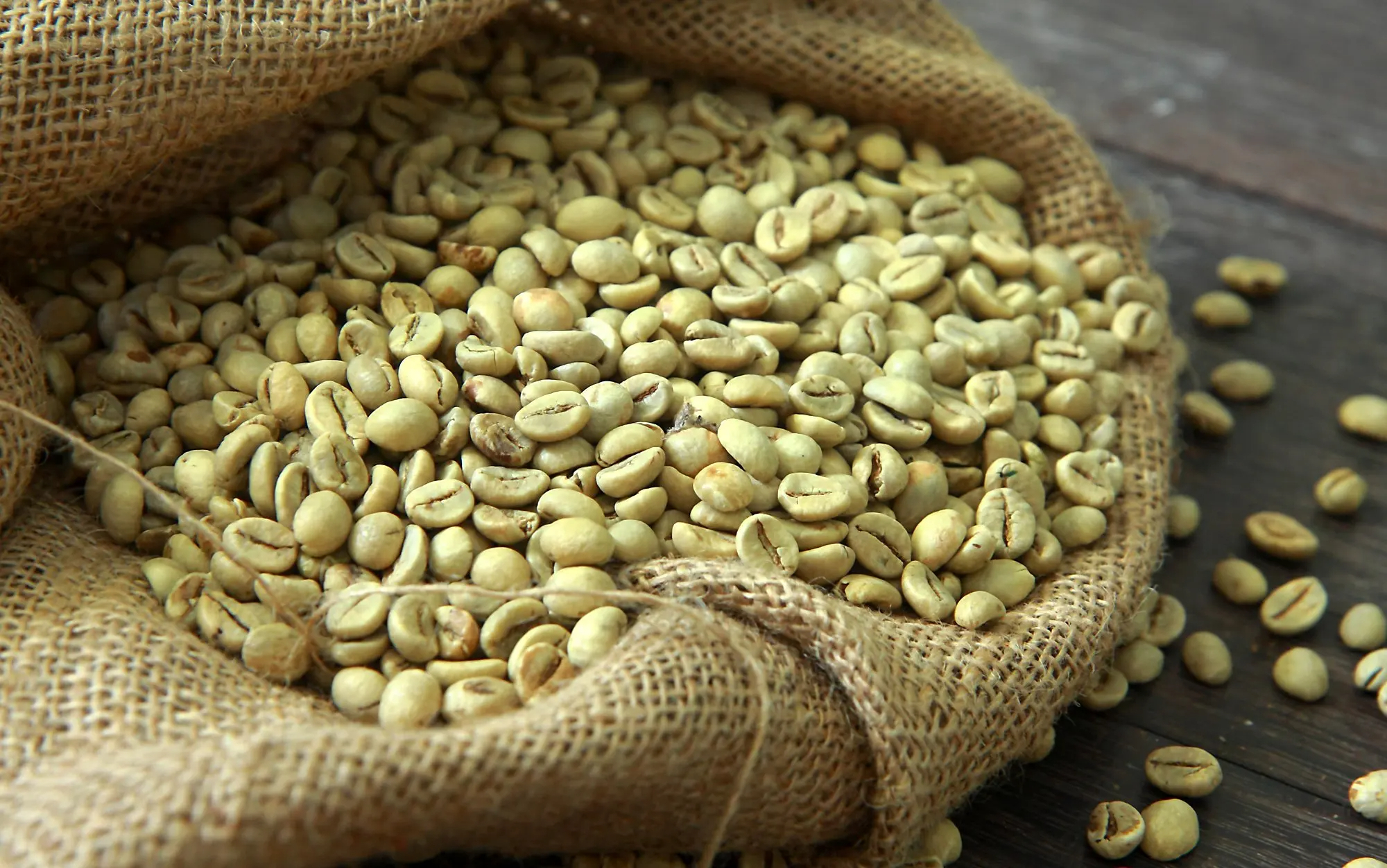 Robusta S18 Wet Polished Coffee, Grade 1