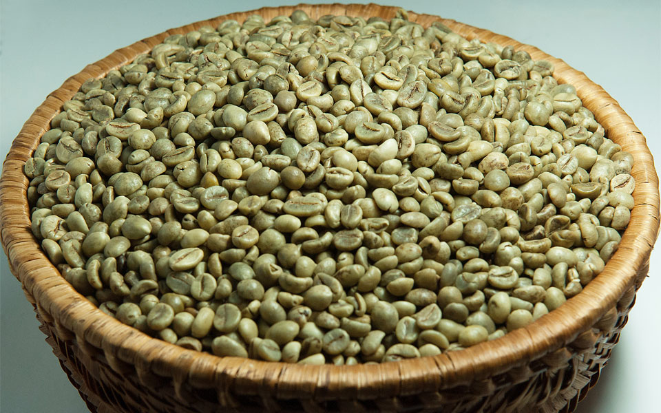 Robusta Coffee S13 Natural