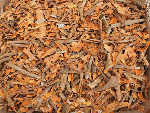 Cinnamon Broken