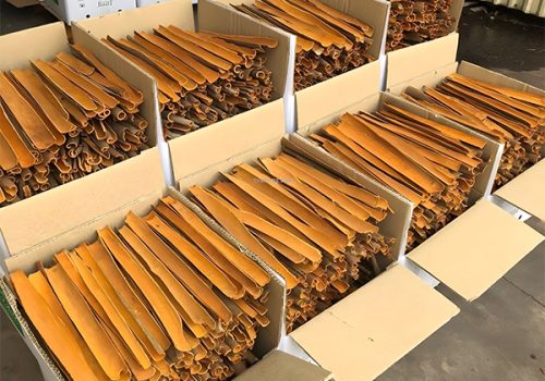 Cinnamon Stick