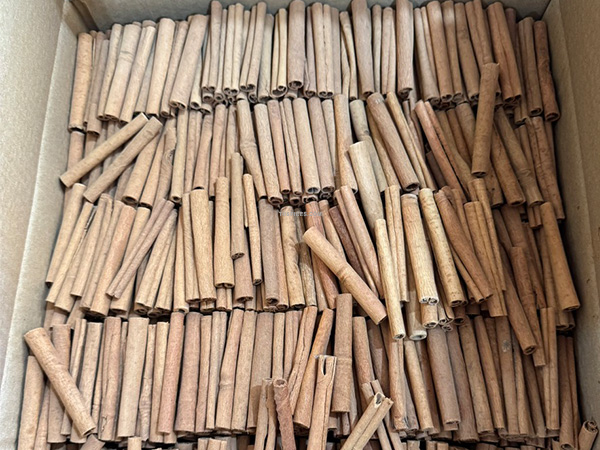 Cinnamon Stick