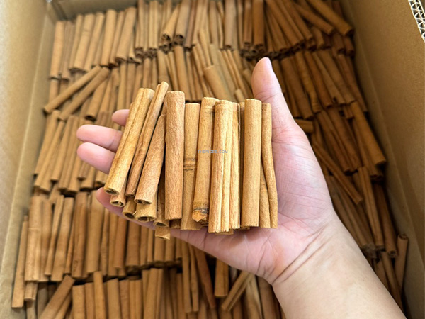 Cinnamon Stick