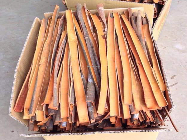 Cinnamon Split