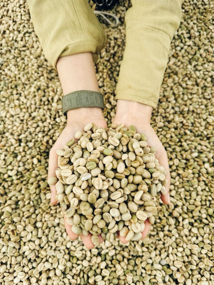 Arabica Cau Dat Natural Process