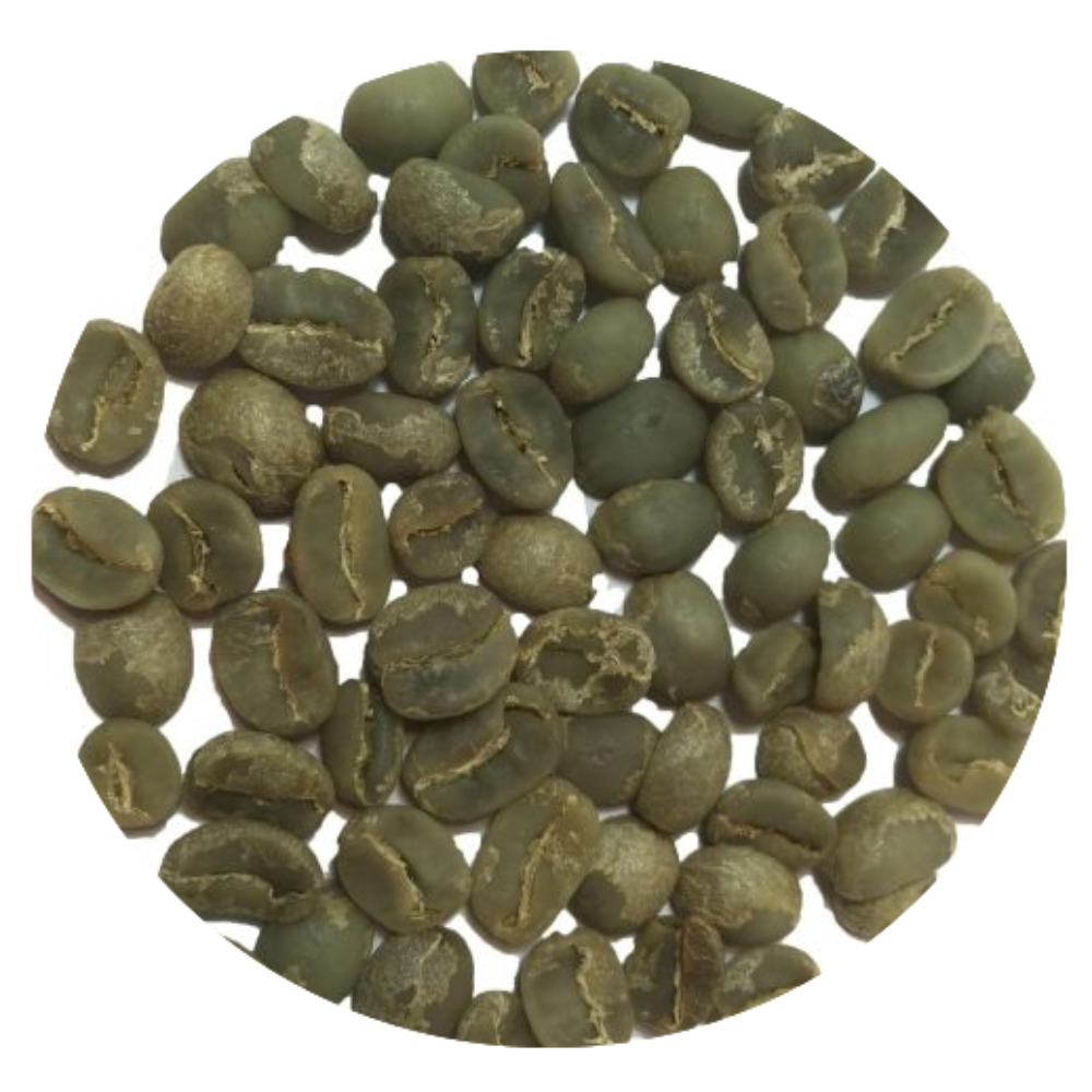 Arabica Cau Dat Semi-Washed