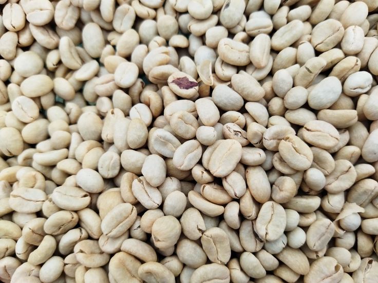 Cau Dat Arabica Specialty Roasted and Ground Coffee
