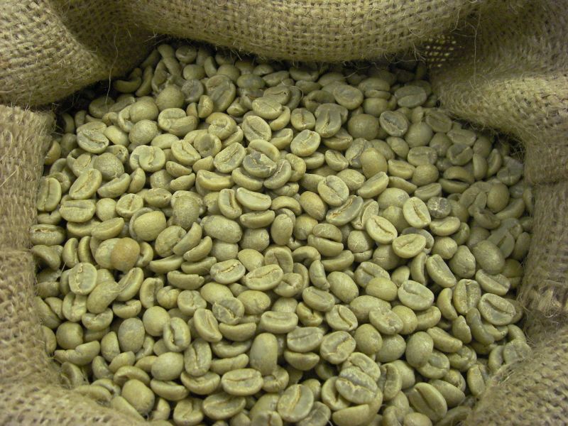 Organic Robusta Coffee