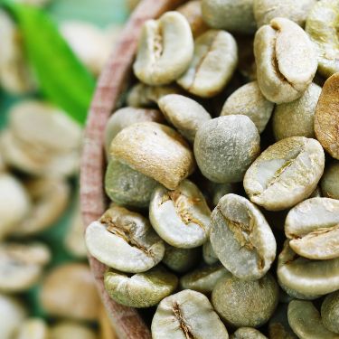 Robusta S16 Standard