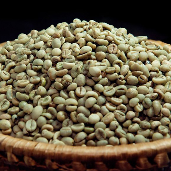 Robusta S16 Clean