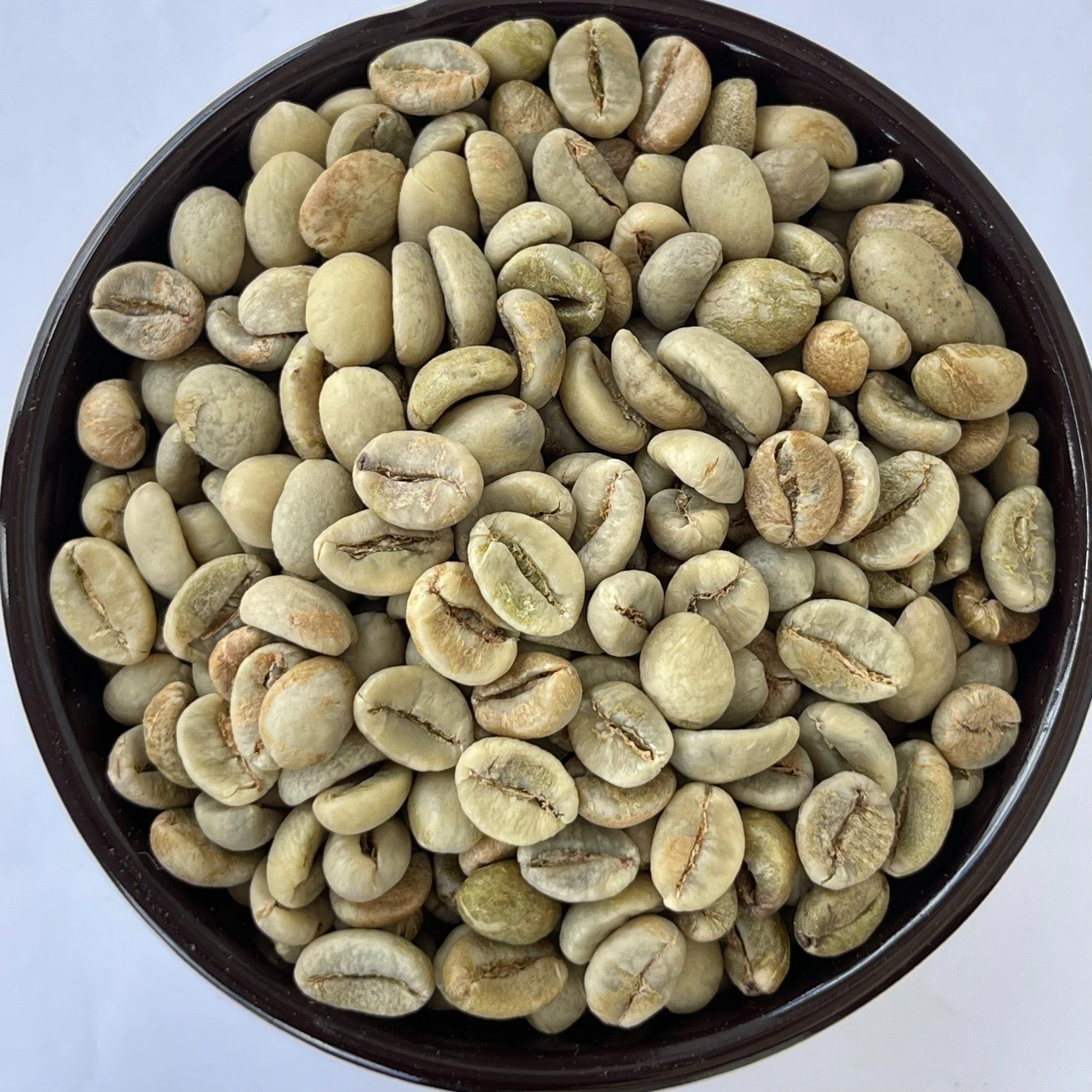 Robusta S18 Wet Polished