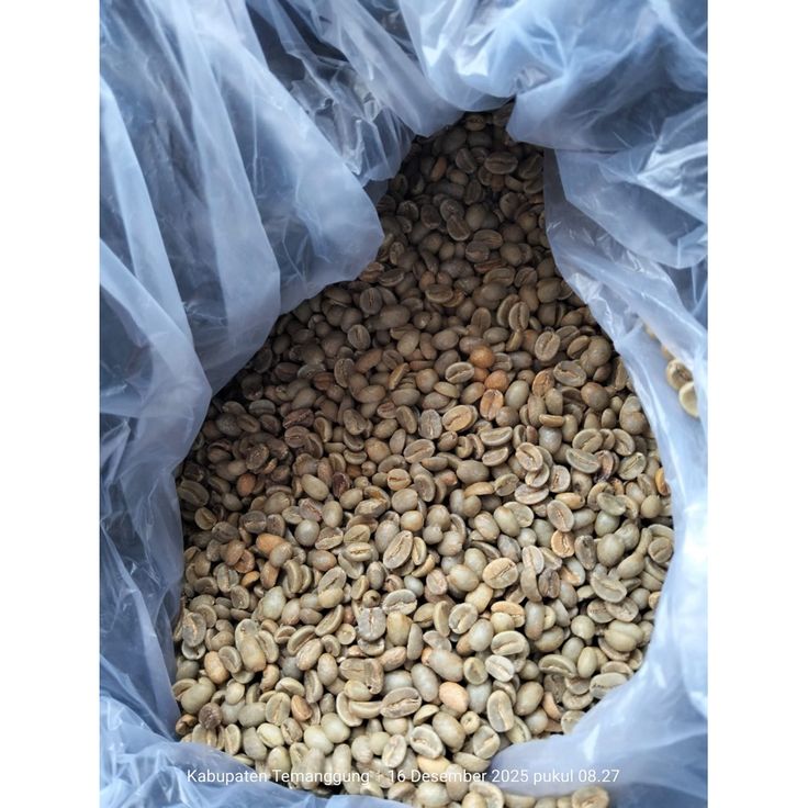 Robusta Anaerobic Process