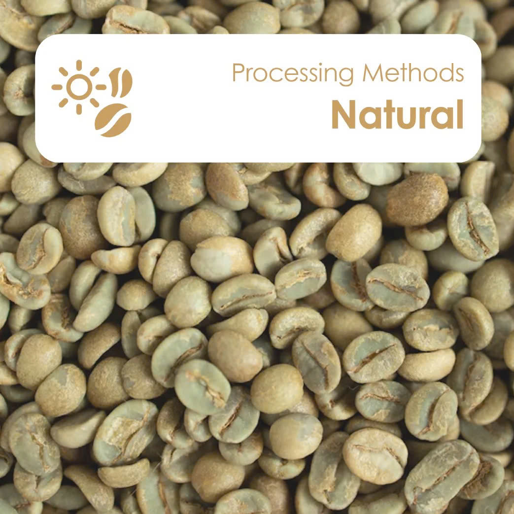 Robusta Natural Process