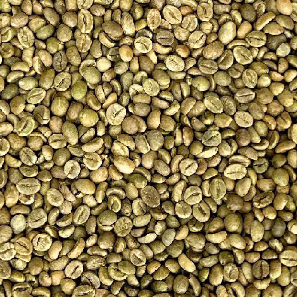 Robusta S18 Clean